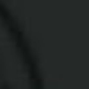 Meet your Posher, Daniela